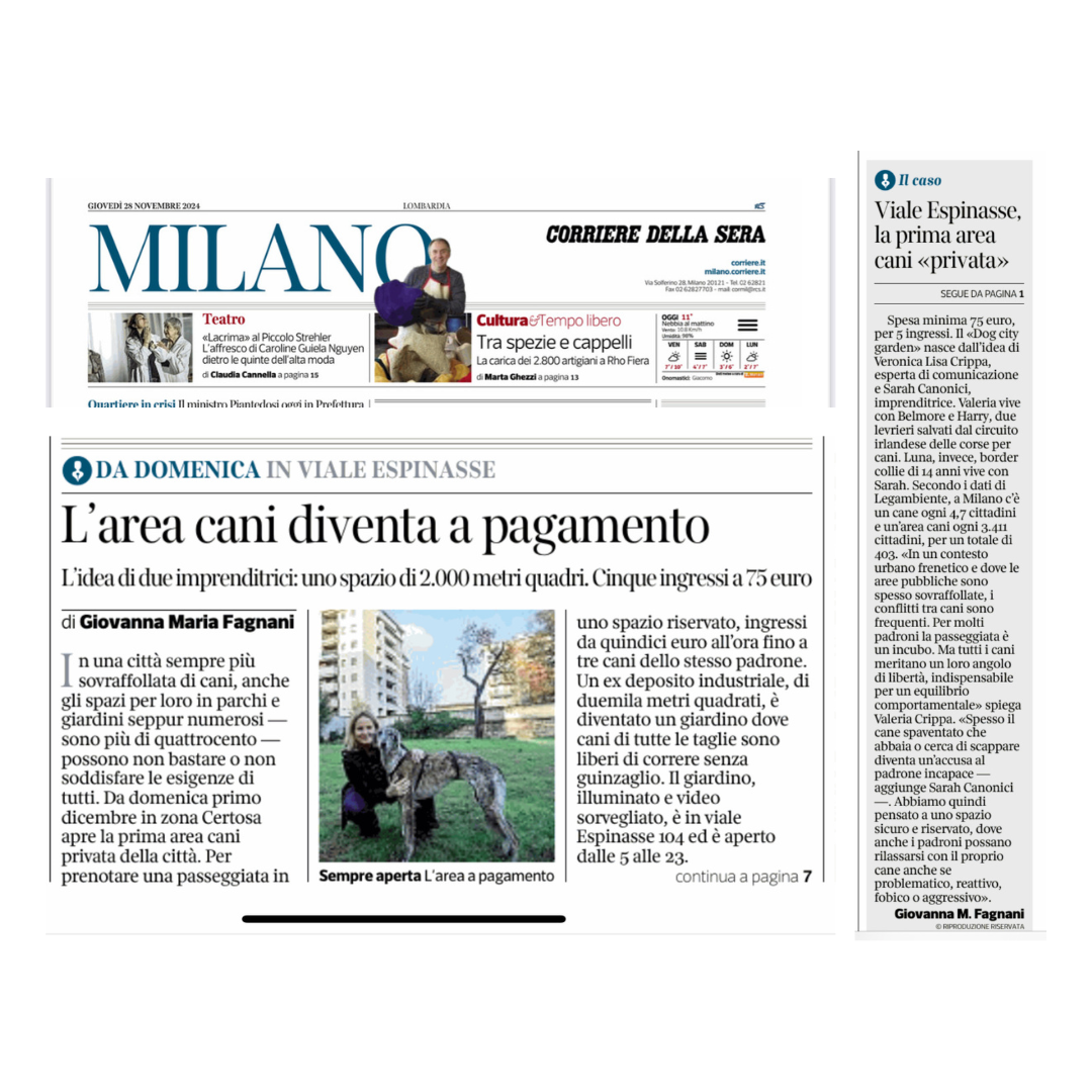 Corriere della Sera, 28 novembre 2024