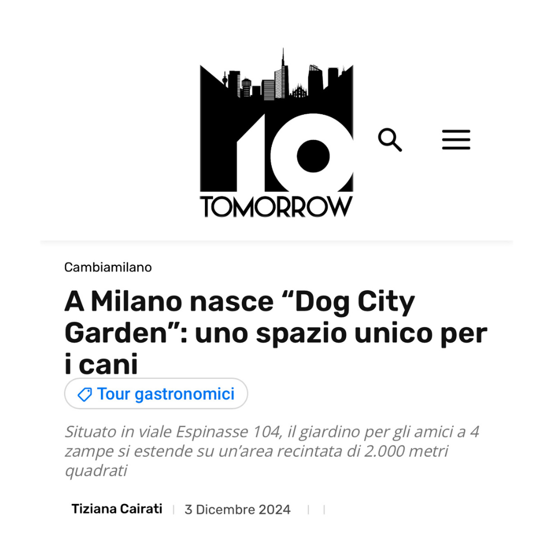 MiTomorrow, 3 dicembre 2024