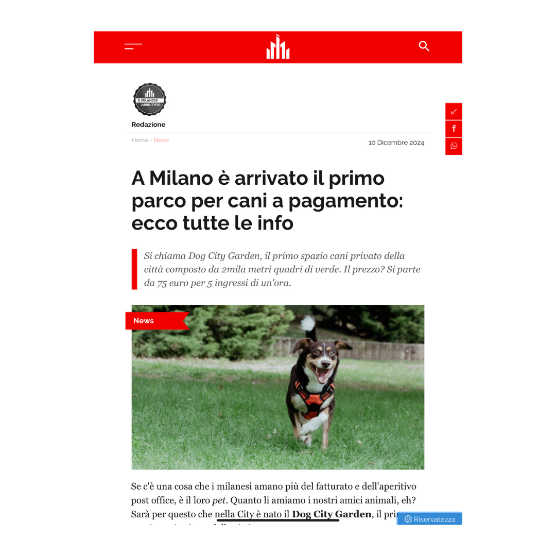 Il Milanese Imbruttito, 10 dicembre 2024