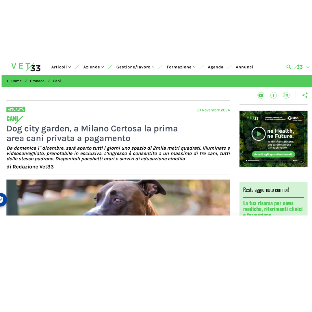 Vet33, 29 novembre 2024