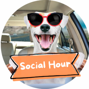 dog city garden social hour small dogs