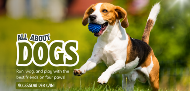 All About Dogs