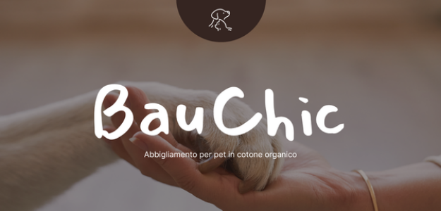 BauChic