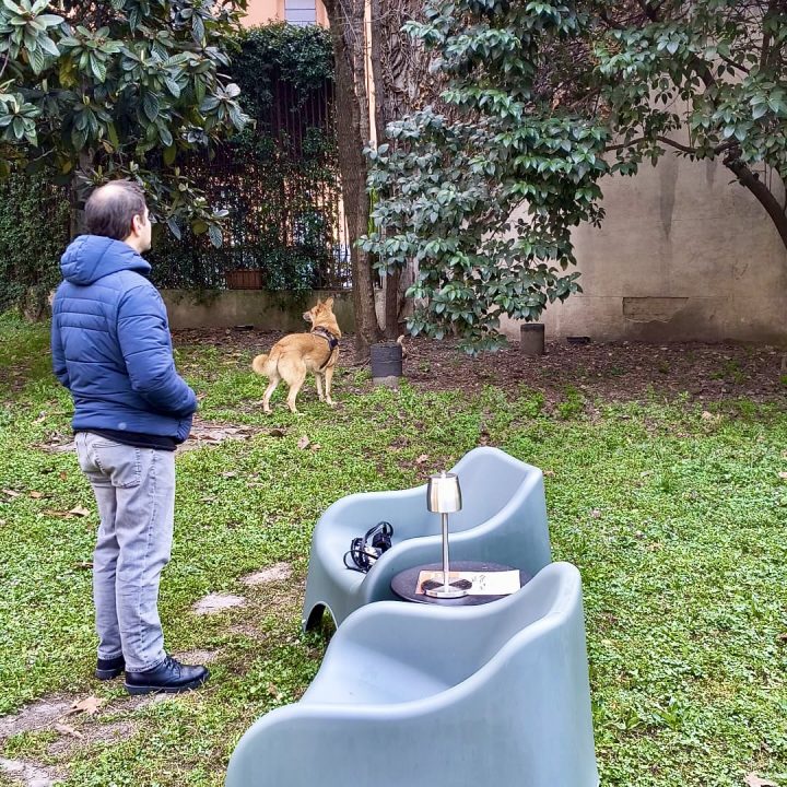 Area cani privata Parco Solari