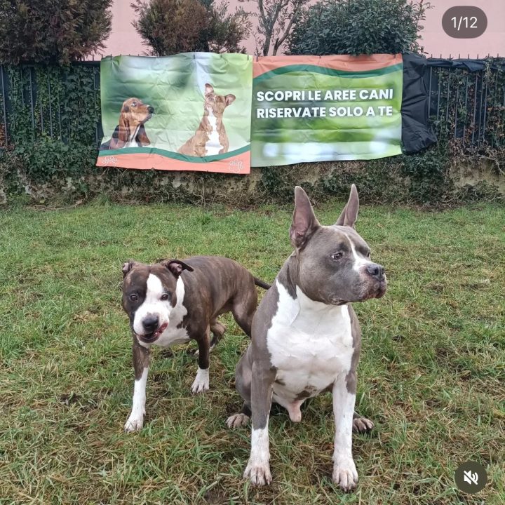 Axel e Thea 1_cesano maderno